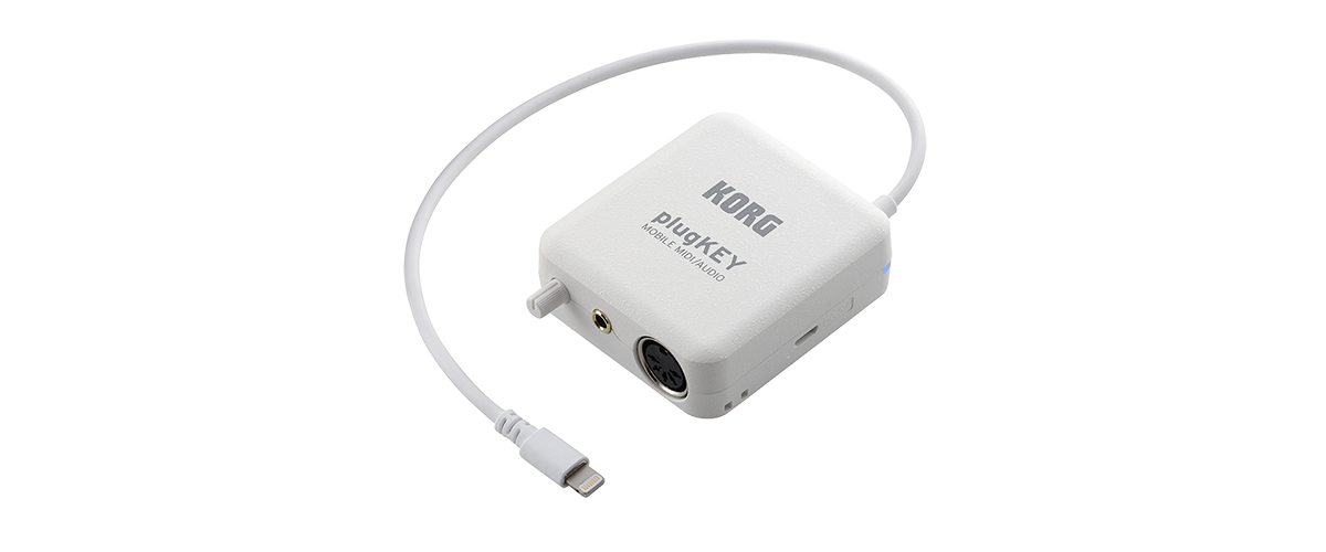 1653875965139-plugkey_1